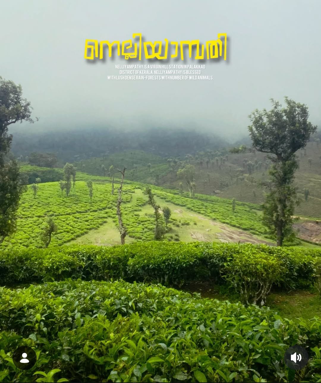 Winding hill road through Nelliyampathy Hills
